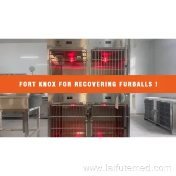 Inpatient Veterinary Care Stainless Steel Cage with Oxygen and Infrared Therapy